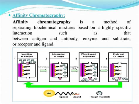 PPT - classification of chromatography PowerPoint Presentation - ID:7395851