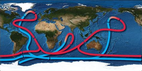 The Great Ocean Conveyor – Woods Hole Oceanographic Institution