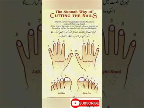 Sunnah way of Cutting Nails | Sunnah | Islamic Content - YouTube