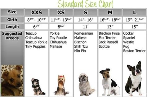 Dog Size Chart