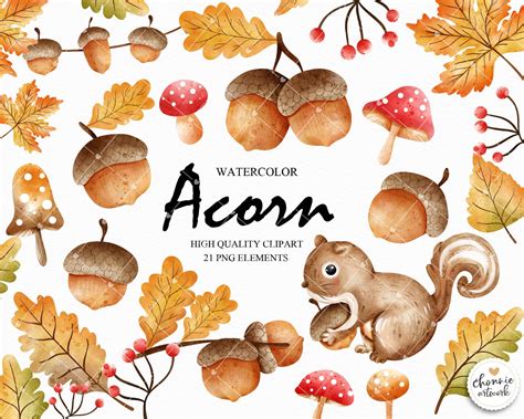 Acorn Clipart Autumn Leaves Clipart Fall Leaves Clipart - Etsy