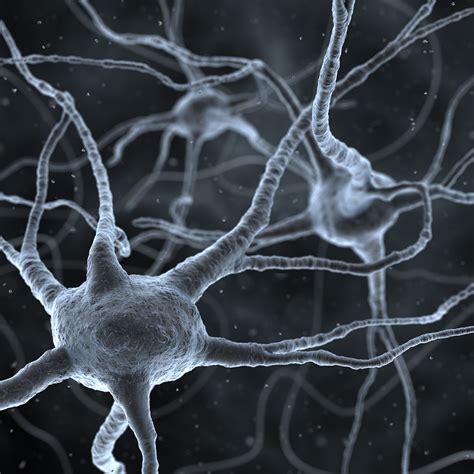 Neurons | Behance