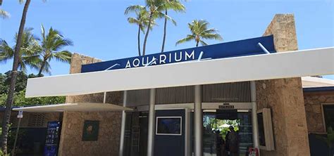 Inside Honolulu's Waikiki Aquarium | Tropical Fish Hobbyist Magazine