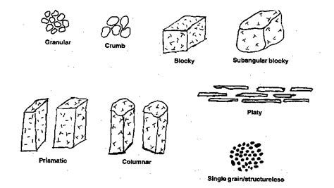 Getting Ahead: Soil Structure Class 4°