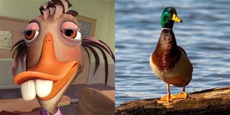 Chicken Little: 10 Things You Didn't Know About Abby Mallard, The Duck