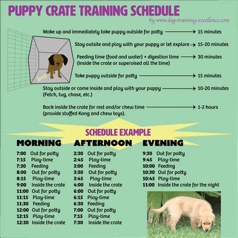 Printable Puppy Training Schedule Week By Week