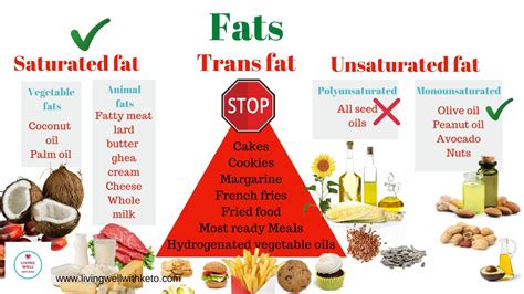 Good Fats Vs Bad Fats Nutrita