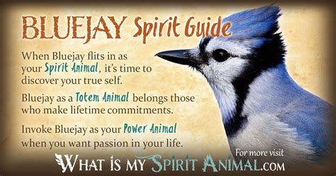 Symbolism Blue Jay Feather Meaning - img-dink