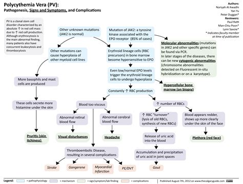 Polycythemia Vera (PV) | Calgary Guide