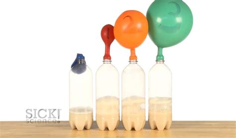 Experiment: Fermentation balloons — Center for Professional Personnel ...