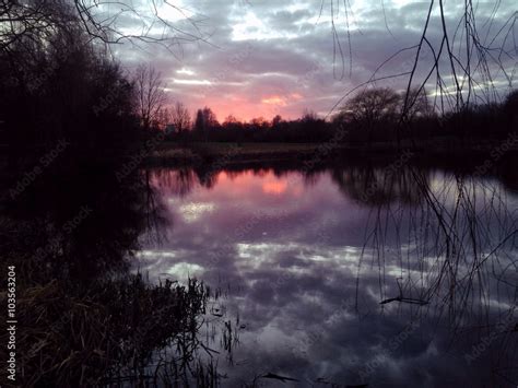 Reflection in pond Stock Photo | Adobe Stock