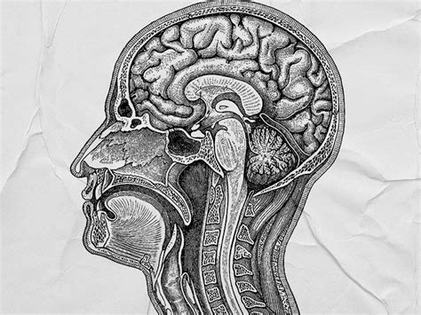 Hashimoto encephalopathy: Symptoms, causes, and more