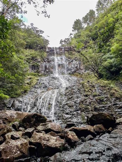 Hiking Alexandra Falls Mauritius: Complete Guide | Let's Venture Out