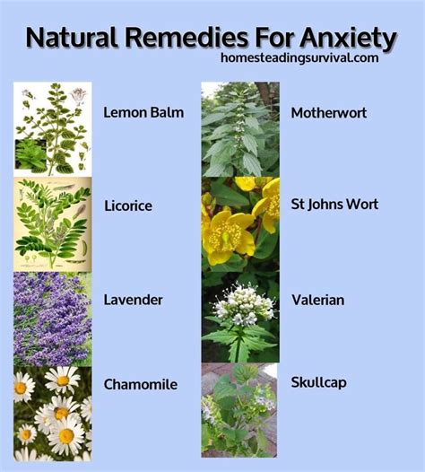 Natural Remedies For Anxiety | Health Benefits | Pinterest