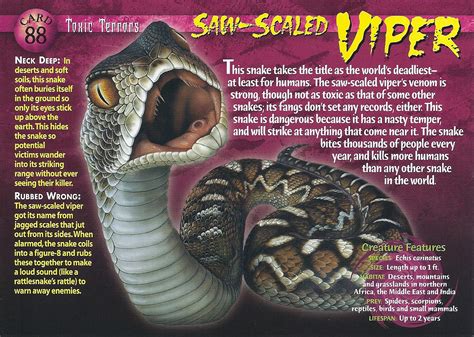 Saw-Scaled Viper - Wierd N'wild Creatures Wiki