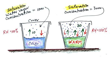 Saturation of air with water vapor | Teaching biology, Vapor, Teaching