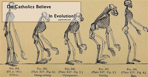 Do Catholics Believe in The Theory of Evolution? — Joy In Truth