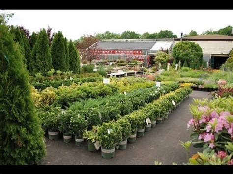 20+ Plant Nursery Background Images