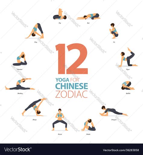 12 yoga poses workout in chinese zodiac concept Vector Image