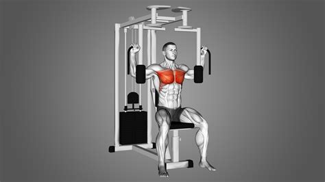 Pec Deck Machine: Benefits, Muscles Worked, and More - Inspire US