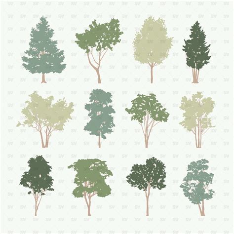 Vector Trees Vol. 1 (12 figures) | Landscape architecture graphics ...