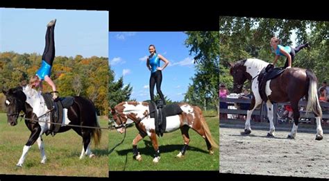 Equestrian Vaulting – Muddy Creek Meadows Riding Stable