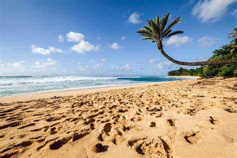 11 Best North Shore Oahu Beaches In Hawaii