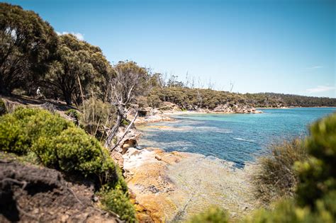 Tasmania's Maria Island: A sustainable eBike adventure | Adventure.com