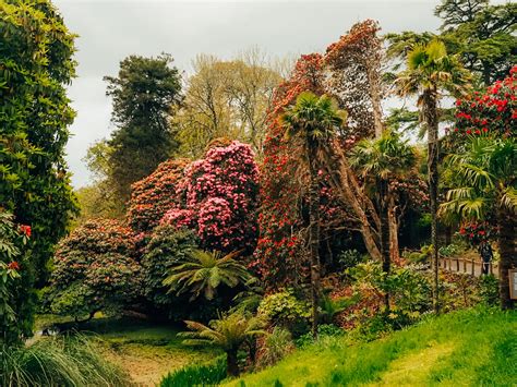 Lost Gardens Of Heligan Sculptures | Fasci Garden