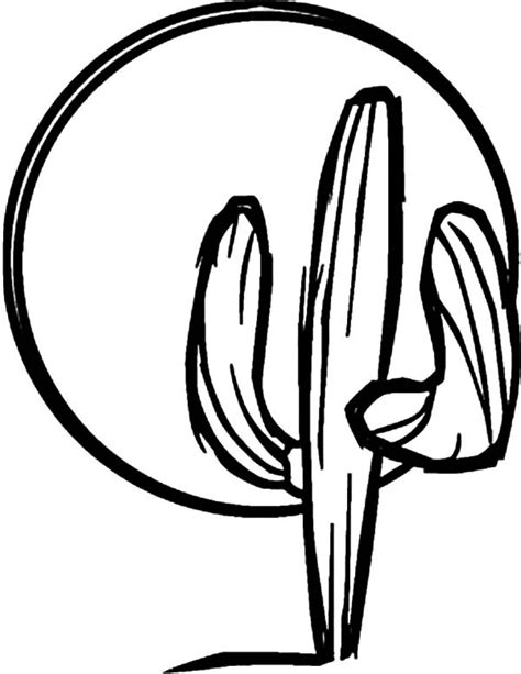 Cactus Drawing Outline at GetDrawings | Free download