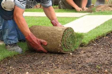 Homeowner's Guide to Sod Installation: Pricing & Benefits - Butterfly Labs