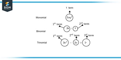 Binomial | Definition & Meaning