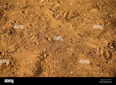 Soil soil texture background in garden Stock Photo - Alamy