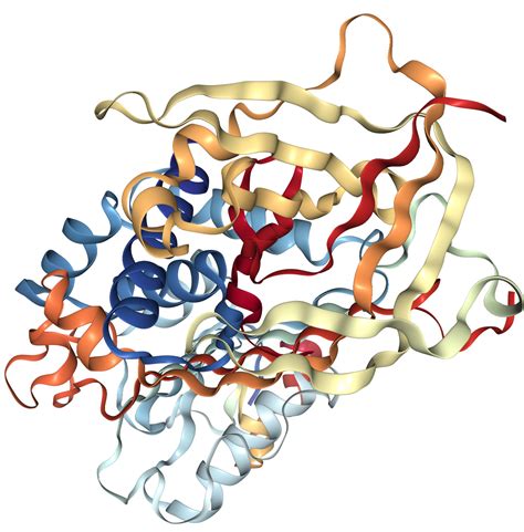 Vitronectin Protein Overview | Sino Biological