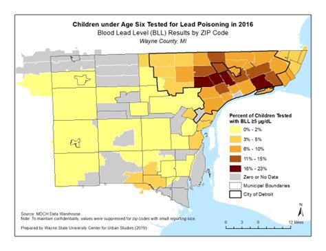 Lead Poisoning in Detroit, Michigan | Great Lakes Institute for ...