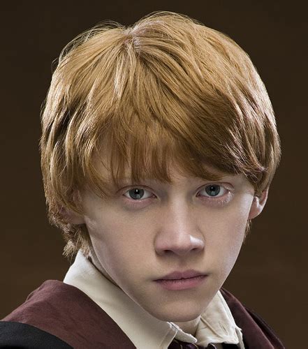 Ron Weasley - Harry Potter Photo (30964968) - Fanpop