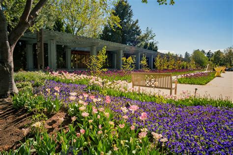 Denver Botanic Gardens - Discover Vibrant Greenery - Go Guides