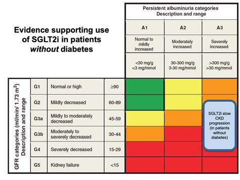 CKD summary overview – edren.org