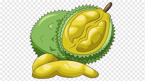 Fruit Durian Food, Durian, cartoon, fruit Nut, pomegranate png | PNGWing