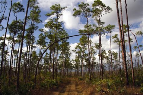 Best Hiking and Biking Trails in the Everglades – Everglades National ...