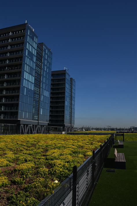 Sky View Parc - Greenroofs.com