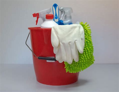 deep-cleaning supplies – True Assisting