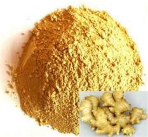 Ginger Extract, Pack Size: 25 Kg at Rs 1200/kilogram in Jaipur | ID ...