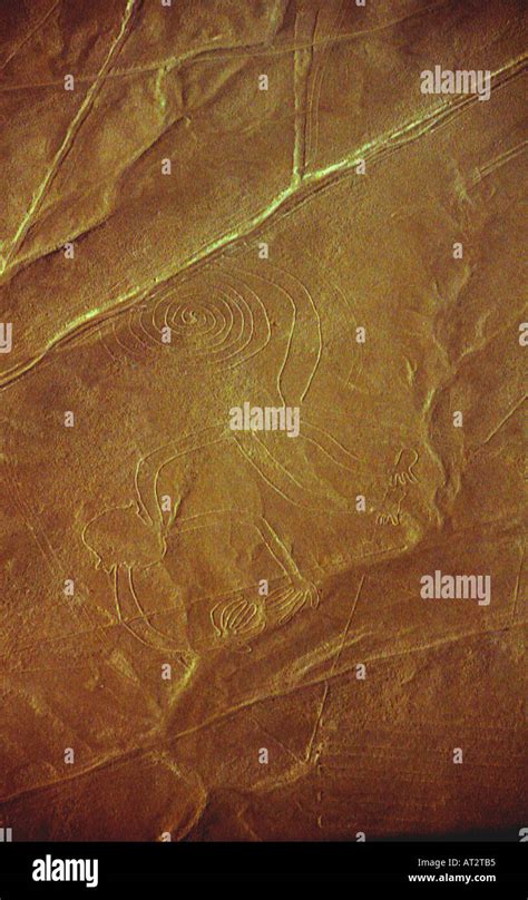 Aerial view Nazca Lines, Peru Stock Photo - Alamy