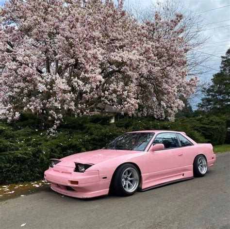 Pink 240SX Underneath A Blossom Tree : JDM