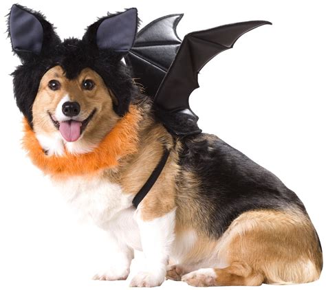 20 Absolutely Amazing Dog Halloween Costumes