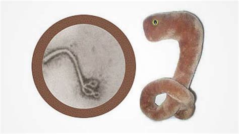 Ebola virus toy: Company sells out of Ebola-inspired plush toy