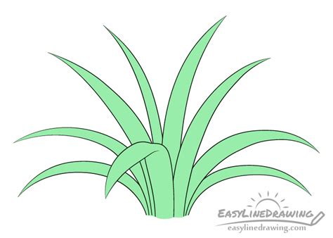 How to Draw Grass Step by Step - EasyLineDrawing