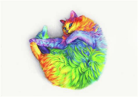 Rainbow Cat Drawing by Leona Chui | Fine Art America