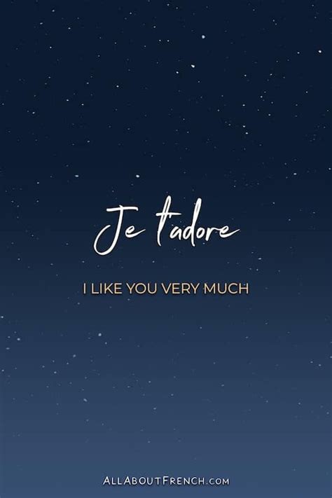 Je t adore meaning in english examples pronunciation – Artofit